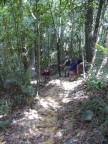 the trail descends.JPG (102 KB)
